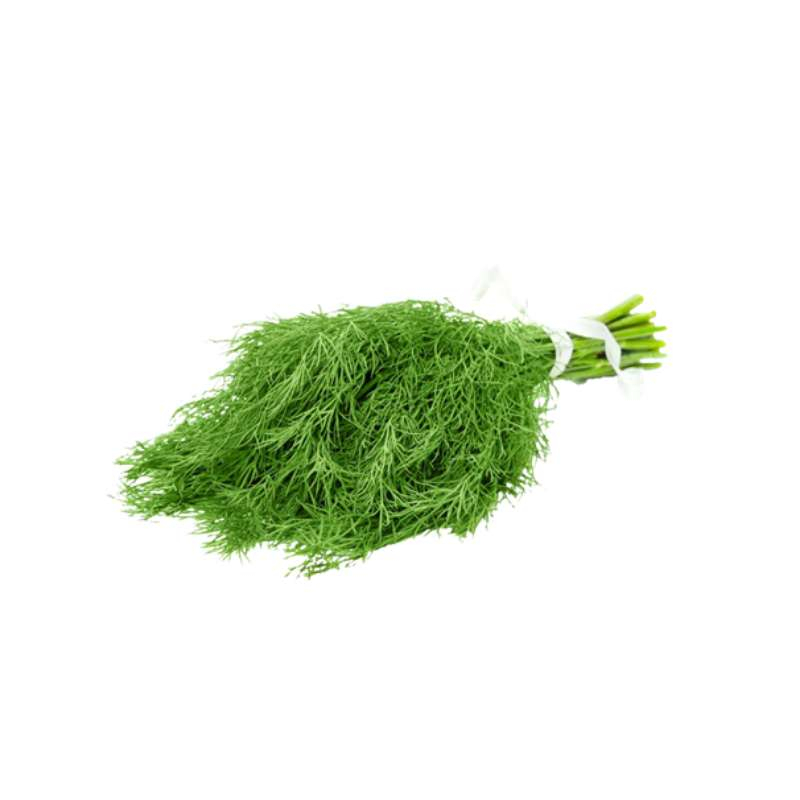 Dill (Soya)