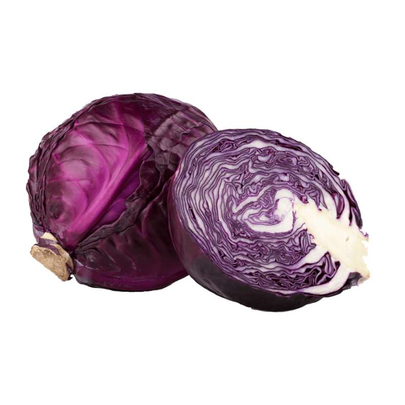 Red Cabbage