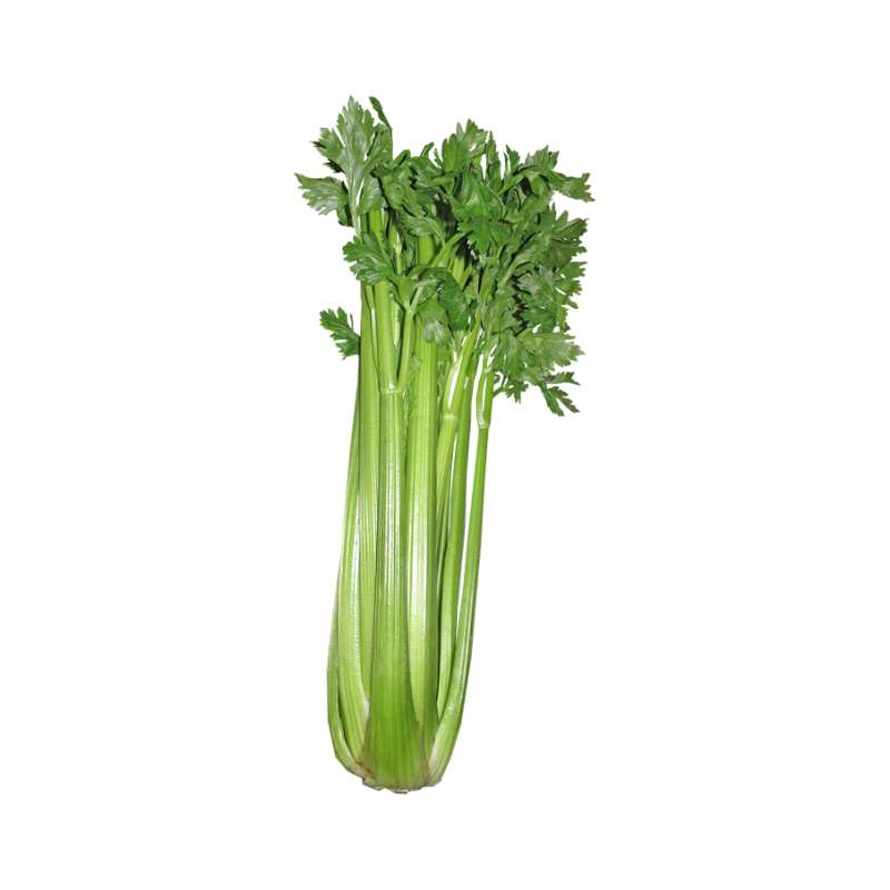 Celery