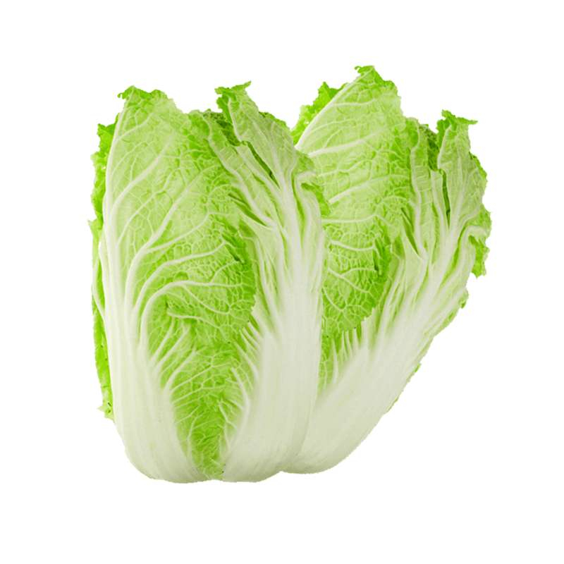 Chinese Cabbage