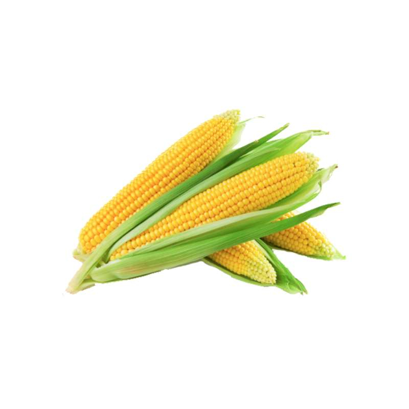 Corn (Bhutta)