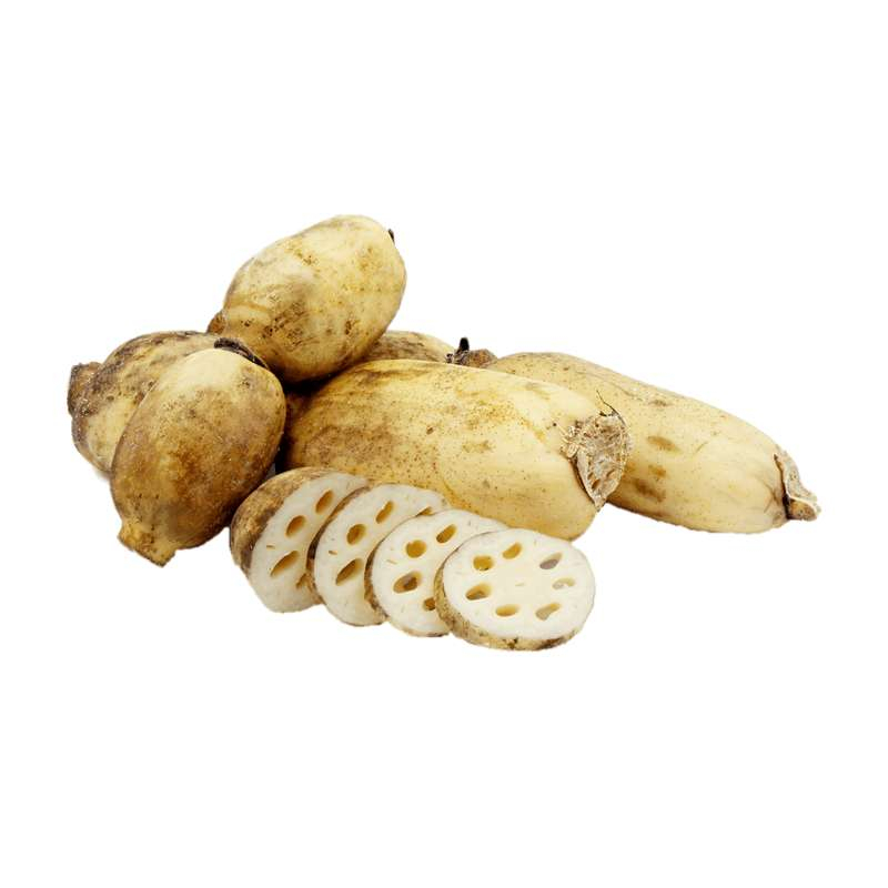 Lotus Roots (Bhee) (Kamal Kakri) (Grade A)