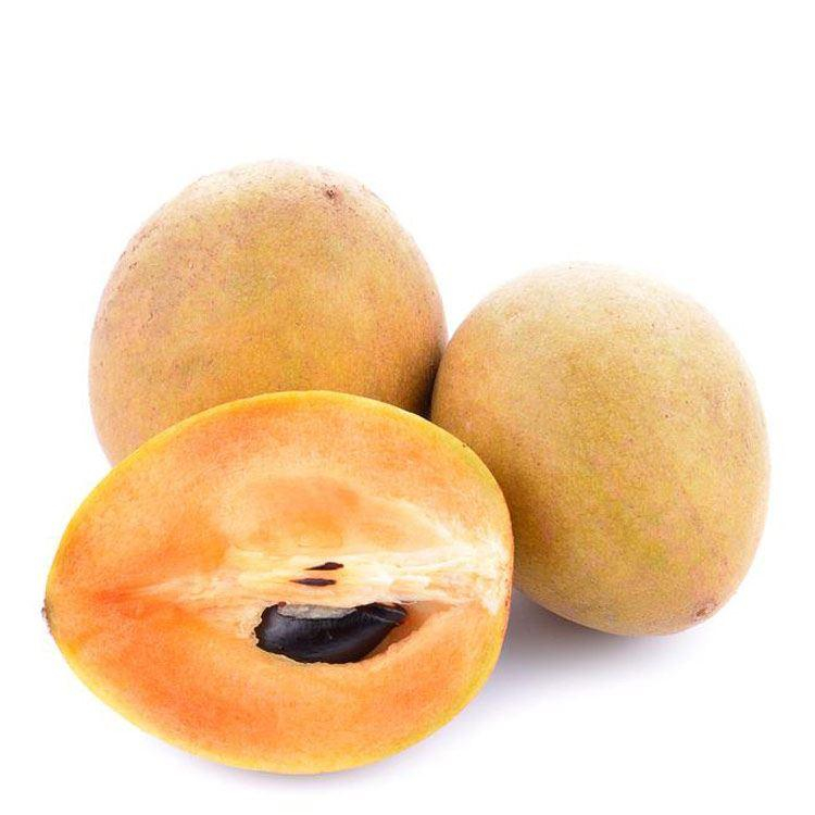 Sapodilla (Cheeku)