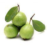 Guava (Amrood) (Grade A)