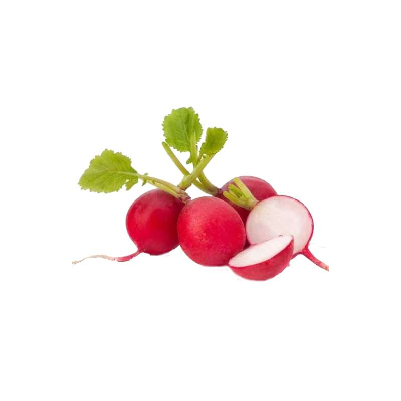 Red Radish (Lal Mooli)