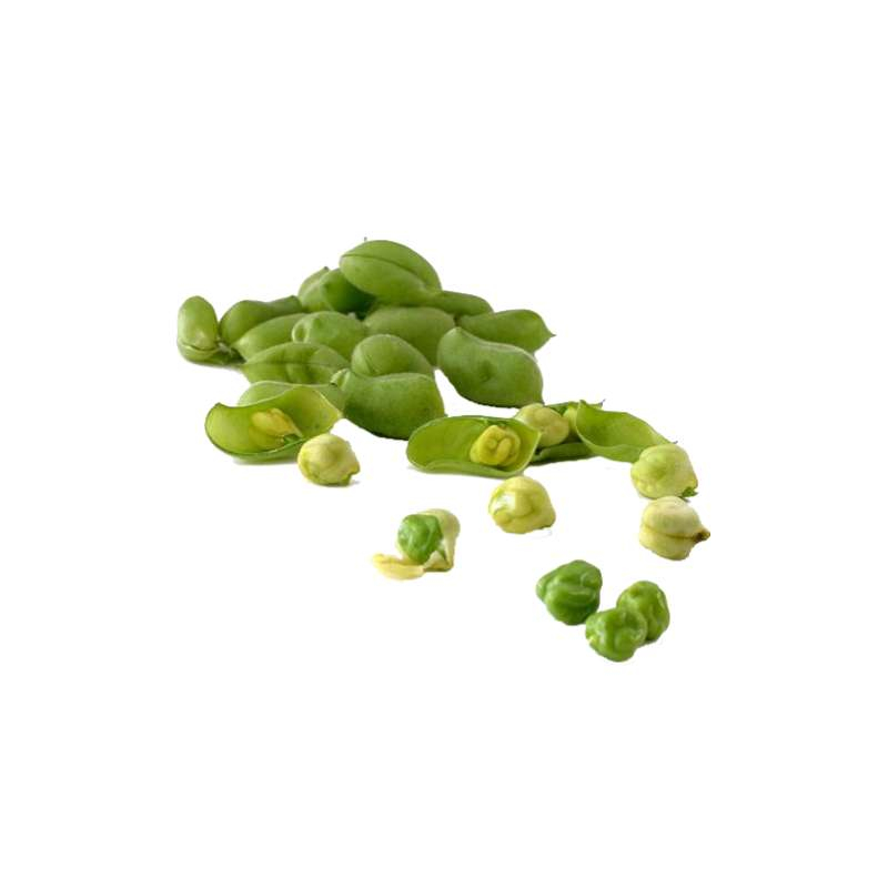 Green Mung Bean (Holay)