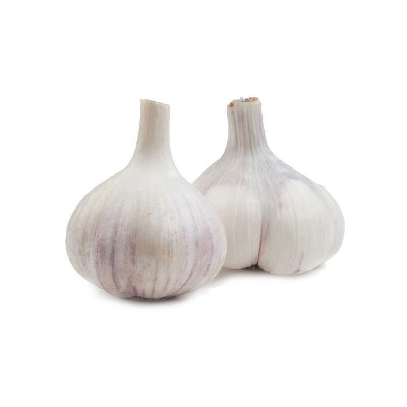 China Garlic (China Lehsan)