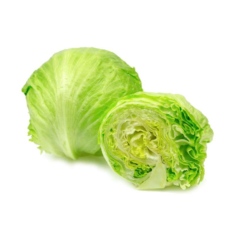 Iceberg Lettuce