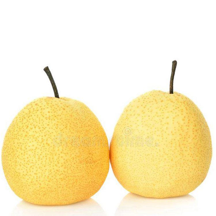 Chinese Pear (Box) (Imported)