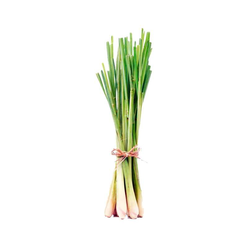 Lemon Grass (Stick)