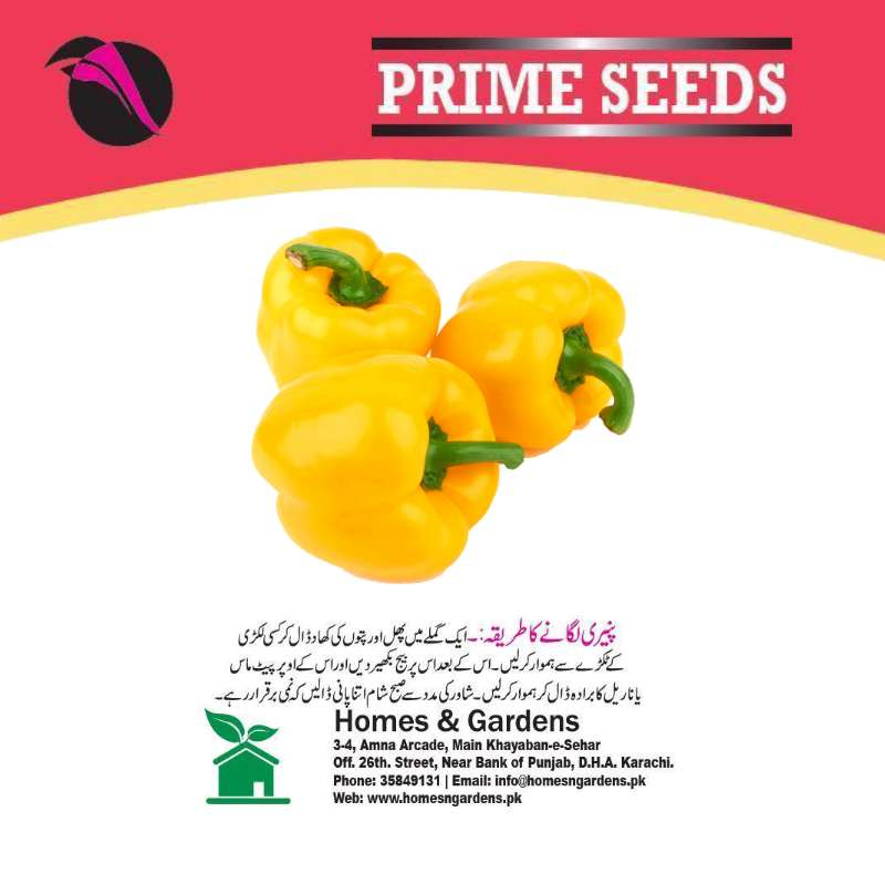 Bell Pepper Seeds