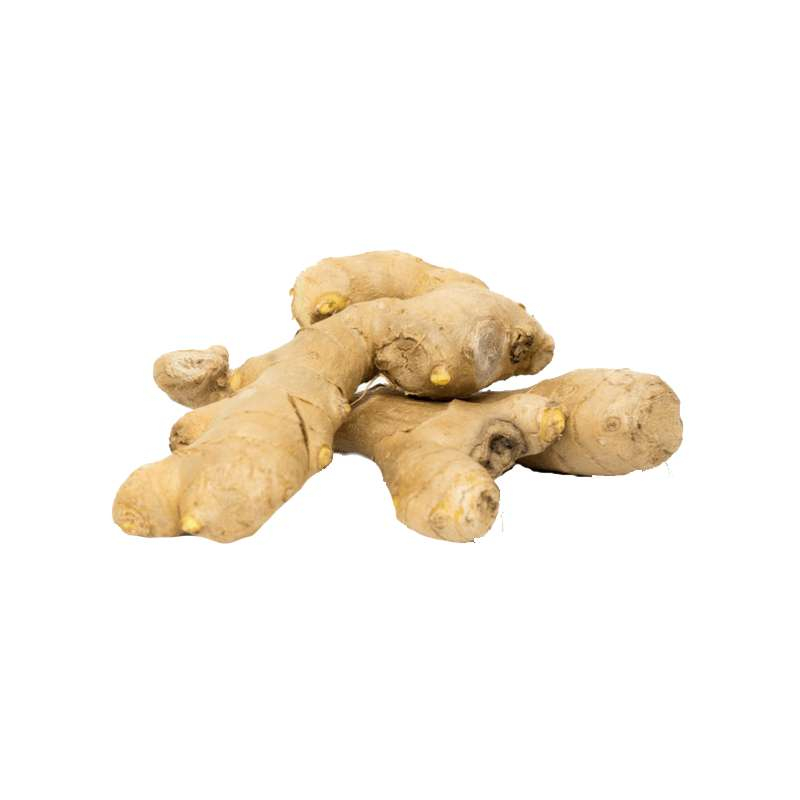 China Ginger (China Adrak)