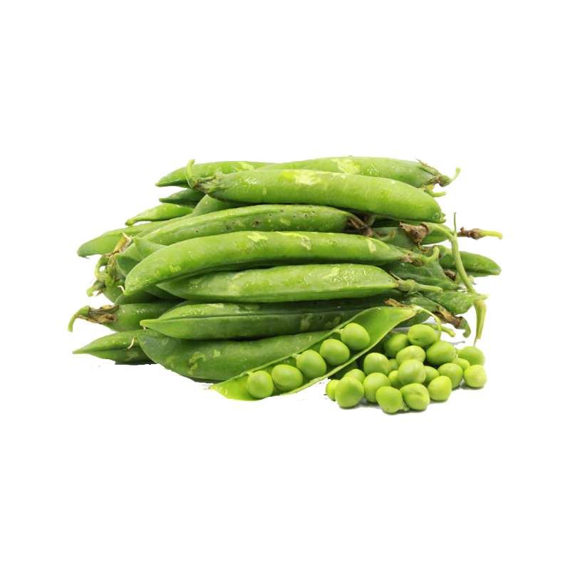 Pea (Matar)