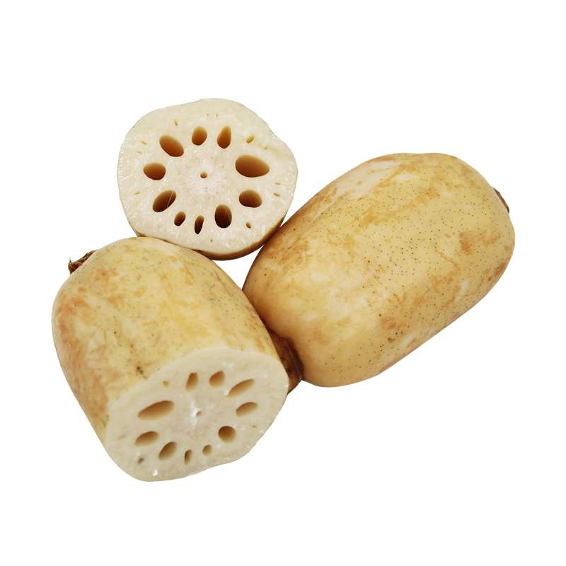 Lotus Roots (Bhee) (Kamal Kakri) (Grade B)