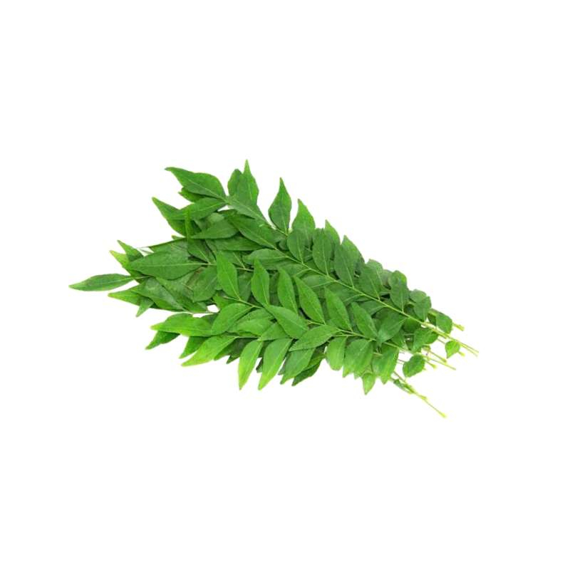 Curry Leaf (Kari Patta)