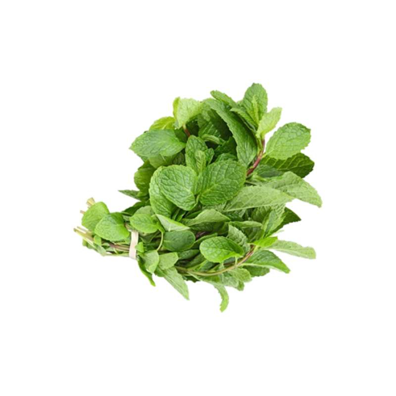 Peppermint (Pudina)