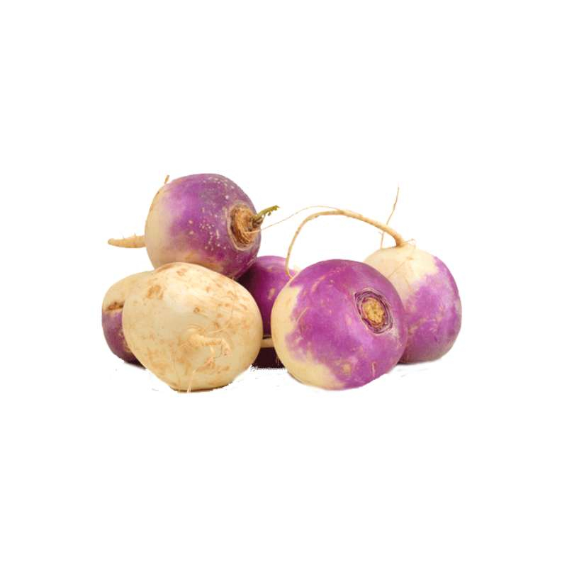 Turnip (Shalghum)