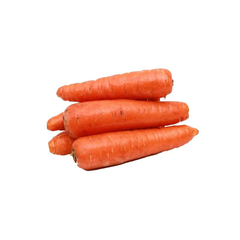 Carrot Thick (Moti Gajar)